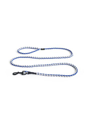 HAY - - Hay Dogs Leash - Blue, off-white - Braided
