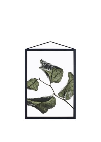 MOEBE - Poster - Floating Leaves - A5 - 03