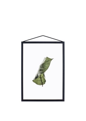 MOEBE - Poster - Floating Leaves - A5 - 04