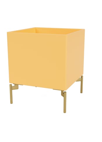 Montana - Säilytyslaatikot - Colour Box I – S6161 - With Brass Legs - Acacia