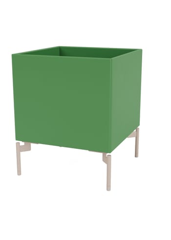 Montana - Cajas de almacenamiento - Colour Box I – S6161 - With Mushroom Legs - Parsley