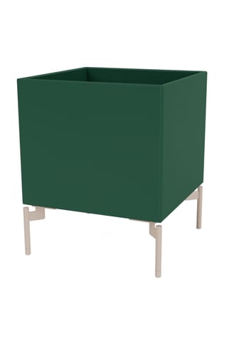 Montana - Cajas de almacenamiento - Colour Box I – S6161 - With Mushroom Legs - Pine