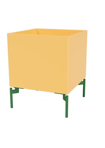 Montana - Storage boxes - Colour Box I – S6161 - With Parsley Legs - Acacia