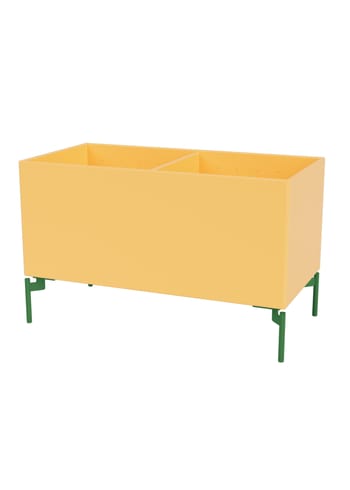 Montana - Caixas de armazenamento - Colour Box III – S4162 - With Parsley Legs - Acacia