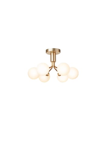 Nuura - Lampa - Apiales 6 Ceiling - Brushed Brass / Opal