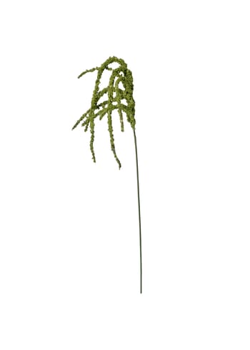 Okholm Studio - Artificial flowers - Stems - Amaranthus - Green