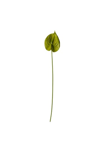 Okholm Studio - Konstgjorda blommor - Stilke - Anthurium - Green