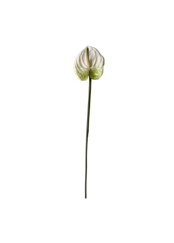 Okholm Studio - Kunstige blomster - Stilke - Anthurium - White