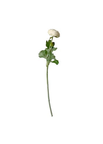 Okholm Studio - Konstgjorda blommor - Stilke - Buttercup - White