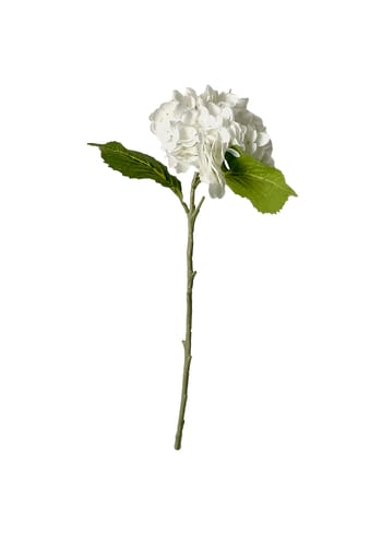 Okholm Studio - Sztuczne kwiaty - Stems - Hydrangea - White