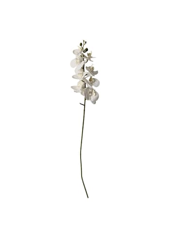 Okholm Studio - Kunstige blomster - Stilke - Orchid - White