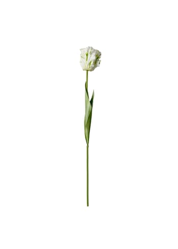 Okholm Studio - Kunstige blomster - Stilke - Parrot Tulip - White