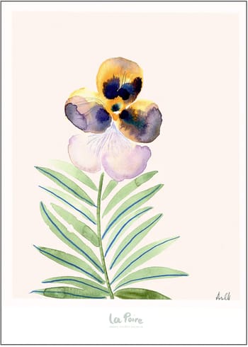 Poster and Frame - Cartaz - Pansy II - Pansy II
