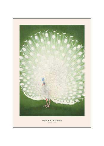 Poster and Frame - Cartaz - Japandi x PSTR Studio - Ohara Koson - Peacock