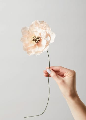 Studio About - Papirblomster - Paper Flower, Poppy - Nude