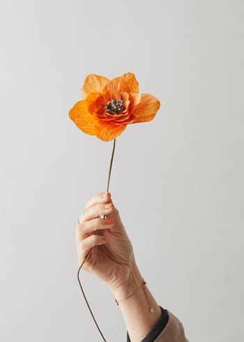 Studio About - Paper Flowers - Paper Flower, Daisy - Orange