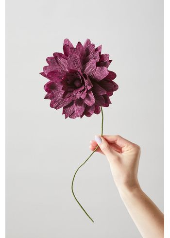 Studio About - Papirblomster - Paper Flower, Grand Dahlia - Aubergine