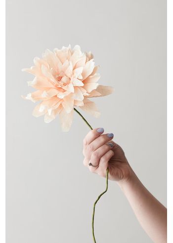 Studio About - Papirblomster - Paper Flower, Grand Dahlia - Nude