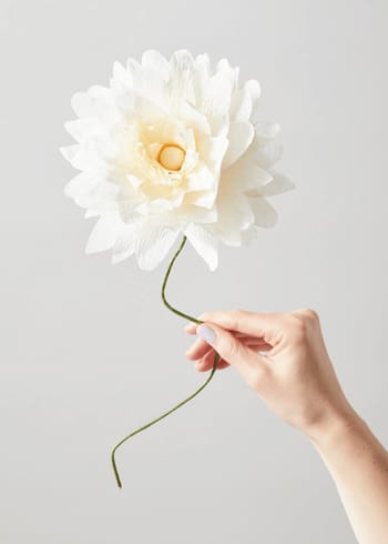 Studio About - Papirblomster - Paper Flower, Grand Dahlia - Sand
