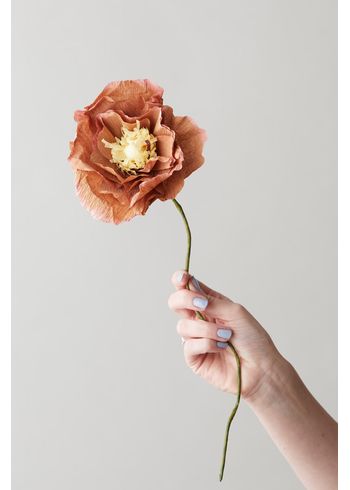 Studio About - Papirblomster - Paper Flower, Ice Poppy - Dark Ochra