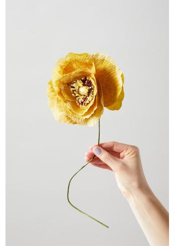 Studio About - Papirblomster - Paper Flower, Ice Poppy - Ochra