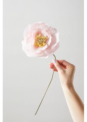 Studio About - Papirblomster - Paper Flower, Ice Poppy - Rose