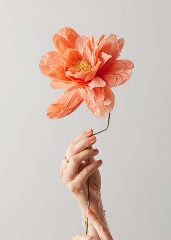 Studio About - Papirblomster - Paper Flower, Grand Peony - Peach