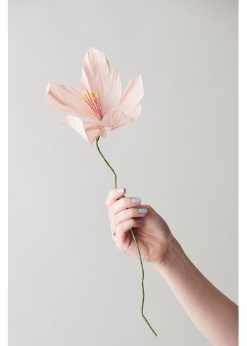 Studio About - Paper Flowers - Paper Flower, Lily - Rose