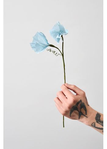 Studio About - Papirblomster - Paper Flower, Morning Glory - Blue