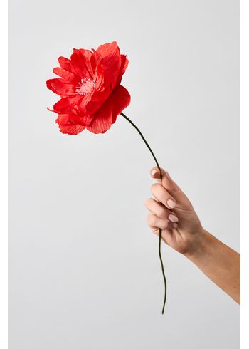 Studio About - Papírové květiny - Paper Flower, Oriental Poppy - Red