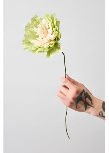 Studio About - Papierové kvety - Paper Flower, Veggie Rose - Green