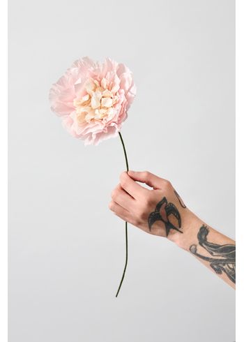 Studio About - Papirblomster - Paper Flower, Veggie Rose - Rose