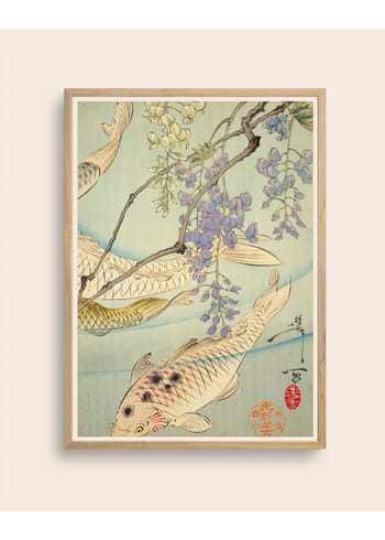 Taishō - Poster - Koi poster - Koi