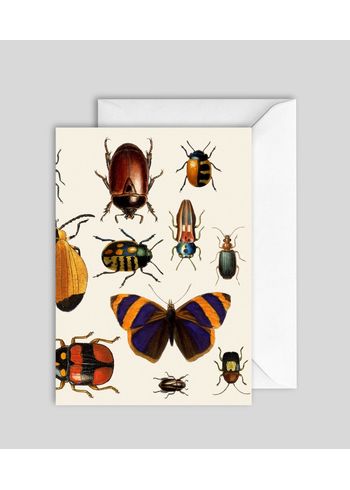 The Dybdahl Co - Kartta - Butterflies series - greeting cards - Butterfly #GC7428