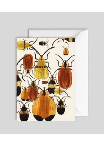 The Dybdahl Co - Cards - Insect series - greeting card - Insect #gc7424
