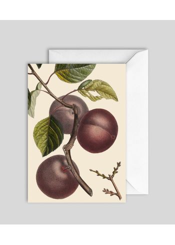 The Dybdahl Co - Carte - Abricot noir - greeting card - Abricot noir #7544