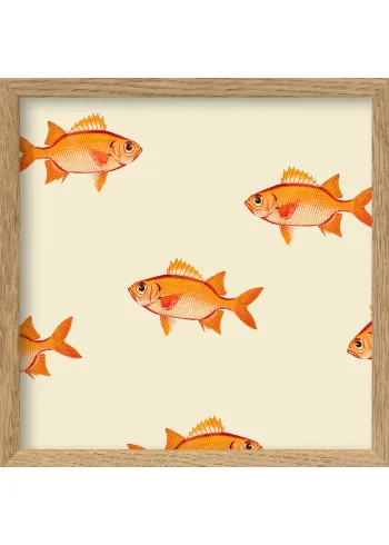 The Dybdahl Co - Cartaz - Small Orange Fish - Small Orange Fish