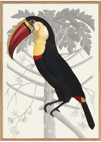 The Dybdahl Co - Cartaz - Black red yellow white #6702 - Feathered dinosaur
