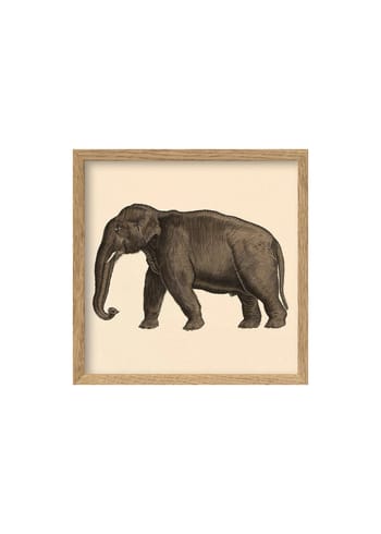 The Dybdahl Co - Cartaz - Elephant Poster - Elephant / pink