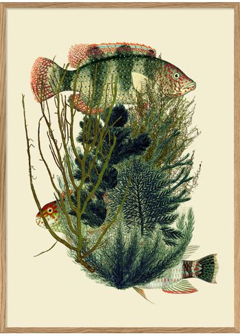 The Dybdahl Co - Cartaz - Fish & Weed 3 #5602 - Fish & Weed 3