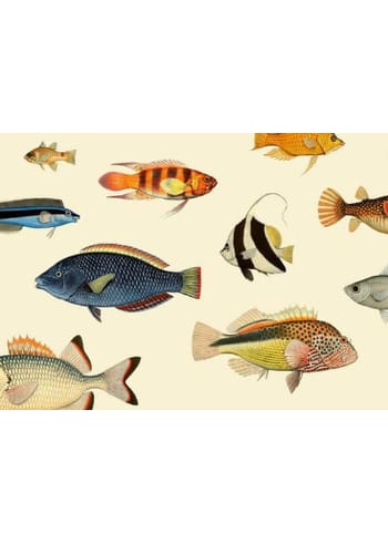 The Dybdahl Co - Poster - Fishes #4201 - Fishes