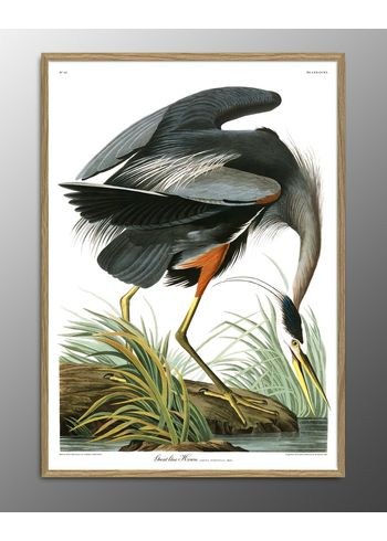 The Dybdahl Co - Poster - Great Blue Heron. Print #6501 - Blue Heron
