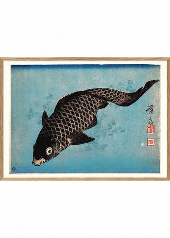 The Dybdahl Co - Cartaz - Koi Fish #4800 - Black Koi