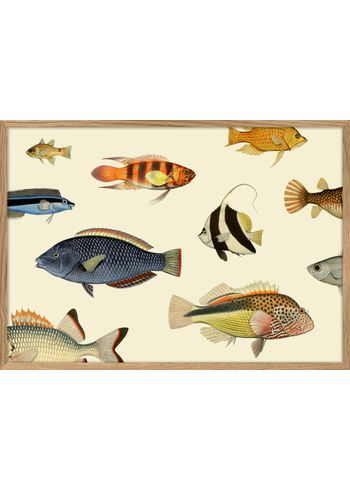 The Dybdahl Co - Cartaz - Mega Fish #4201 - Mega Fish
