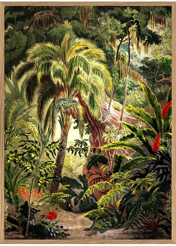 The Dybdahl Co - Poster - Jungle Scenery #6104# - Jungle Scenery