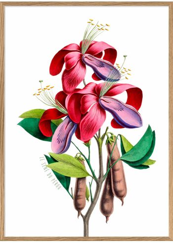 The Dybdahl Co - Plakat - Pink and Purple Flower #4703 - Pink and Purple Flower