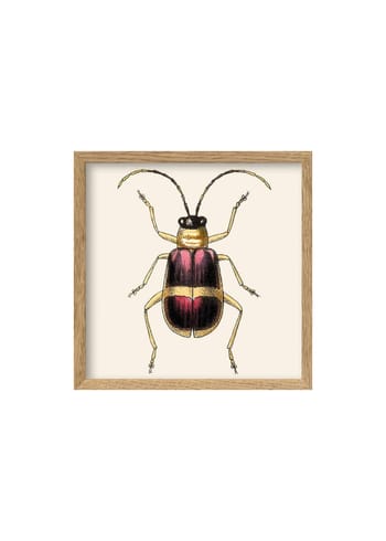 The Dybdahl Co - Cartaz - Purple And Gold Insect Poster - Purple And Gold Insect