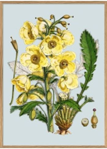 The Dybdahl Co - Poster - Yellow Flowers #4606 - Yellow Flowers