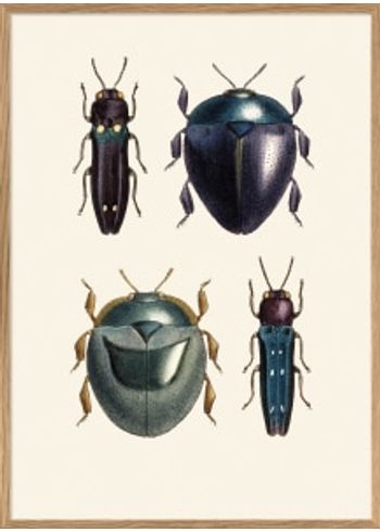 The Dybdahl Co - Poster - Special bugs #5410 - Special bugs