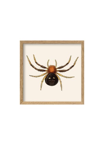 The Dybdahl Co - Cartaz - Spider Poster - Spider / Oak